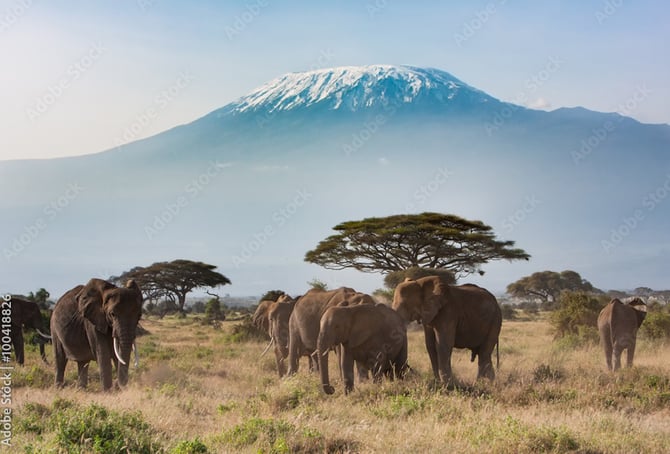 Travelling to Tanzania