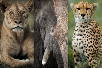 Let’s talk about what matters.